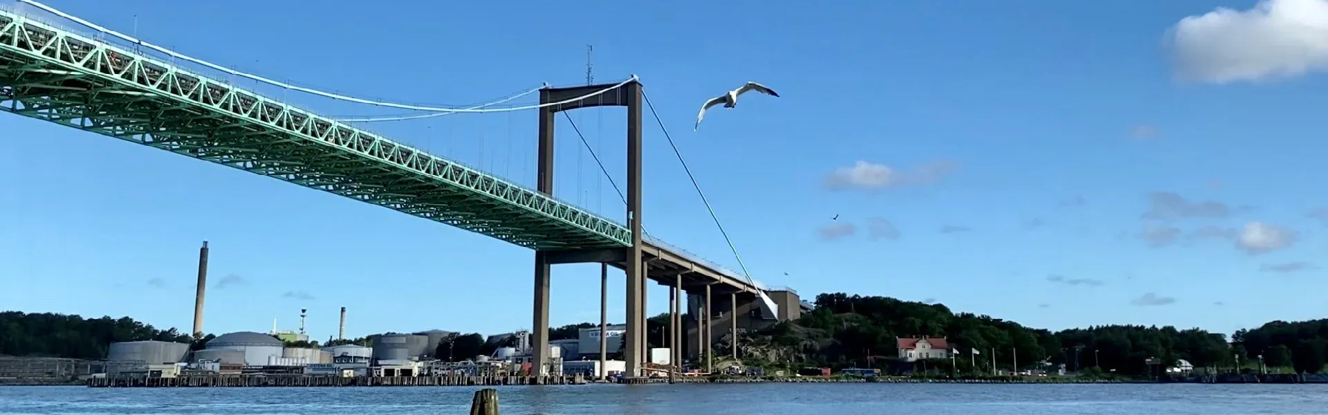 Älvsborgsbron och en mås över vattnet i Göteborg